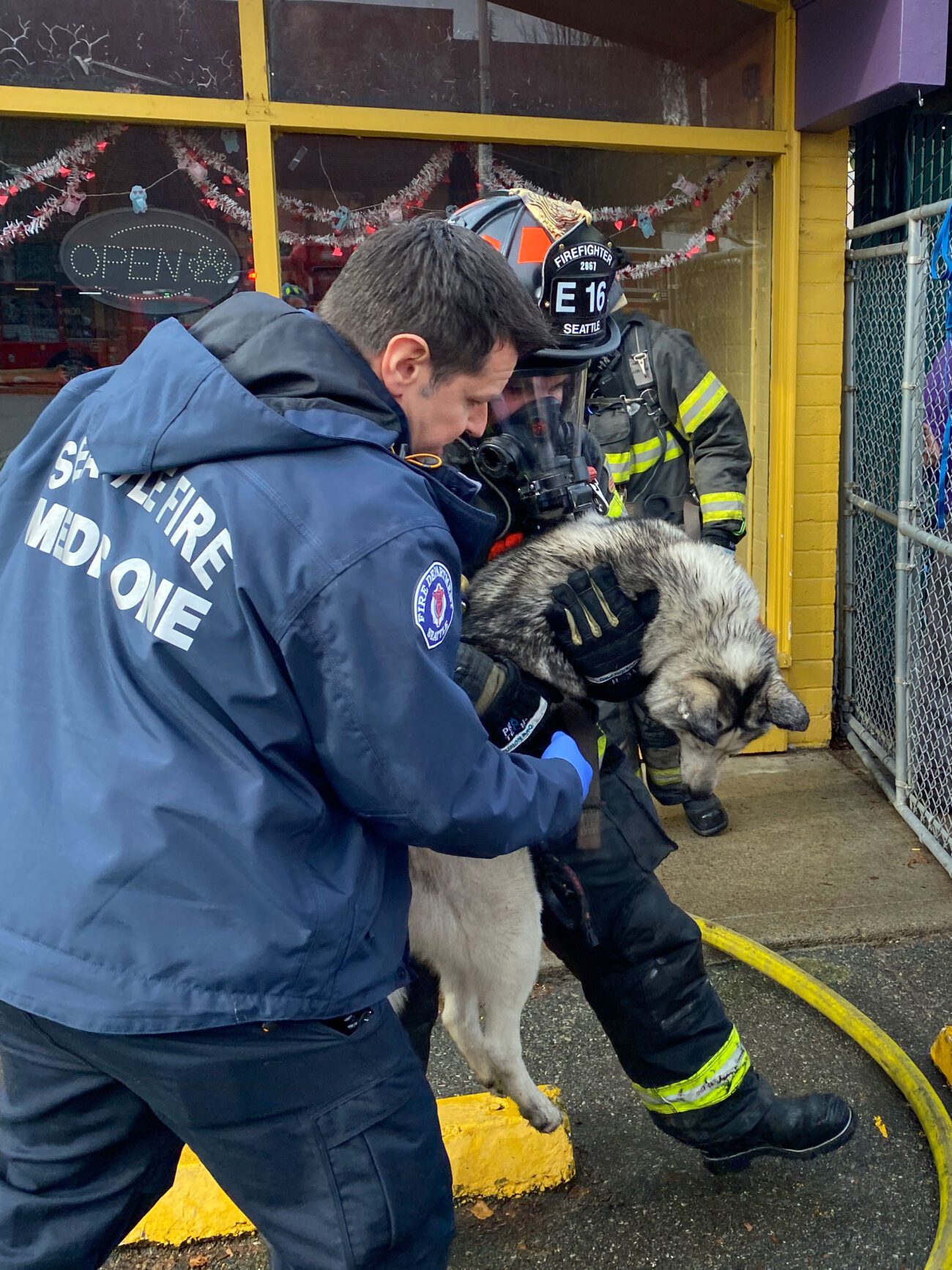 Firefighters rescue dogs from fire in Lake City daycare center - Fire Line