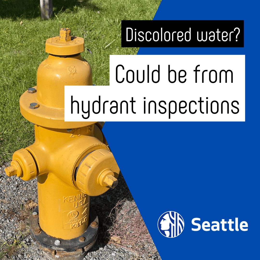 Photo of fire hydrant with text: discolored water? Could be from hydrant inspections. 