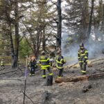 Firefighters cutting down trees that were involved in the fire.