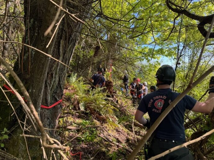 Firefighters safely rescue hiker after 40-foot fall in Discovery Park ...